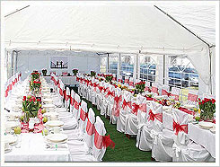 wesele Zielona G�ra